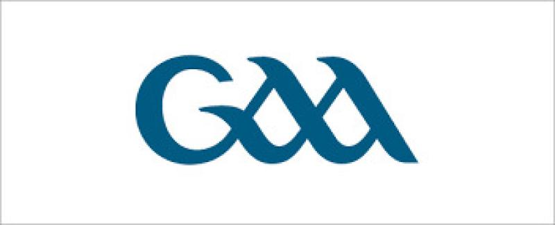 Eight Kilkenny GAA clubs receive accreditation 