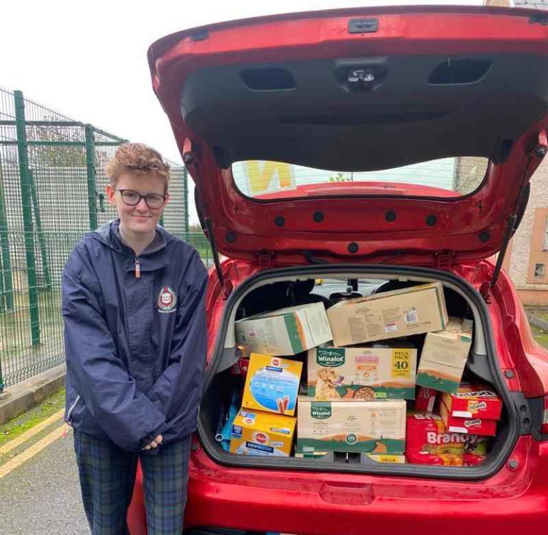 Young student makes generous donation to dog shelter in Kilkenny