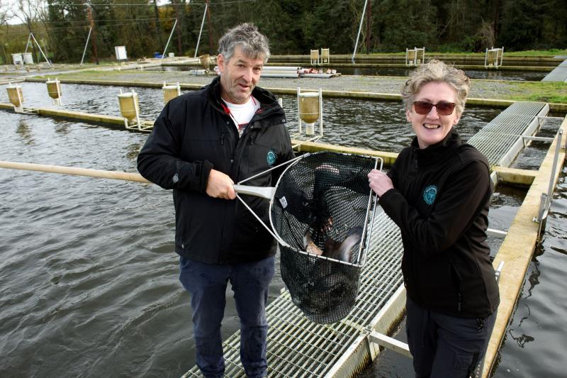 Goatsbridge Trout Farm to scale up production after €1.68 million investment