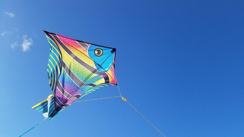 Kilkenny Palestine rally and kite-flying event to take place on Sunday