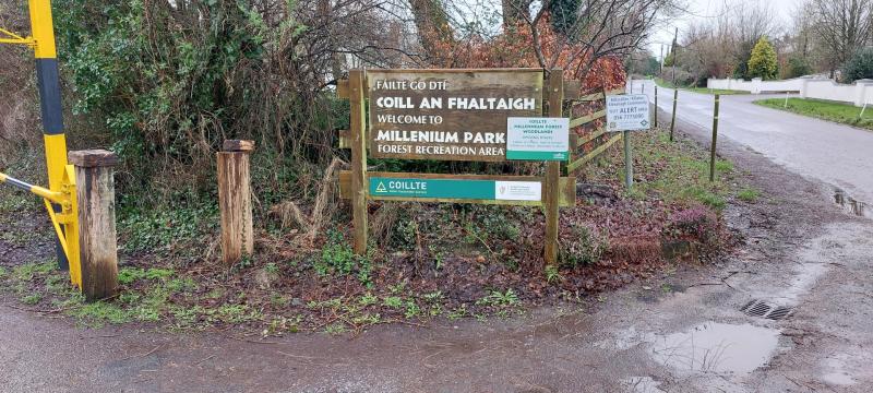 Works at a well-known Kilkenny walkway get the green light 