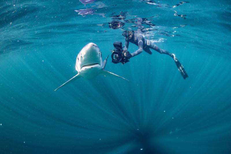 World-renowned underwater cameraman to perform live show in Kilkenny