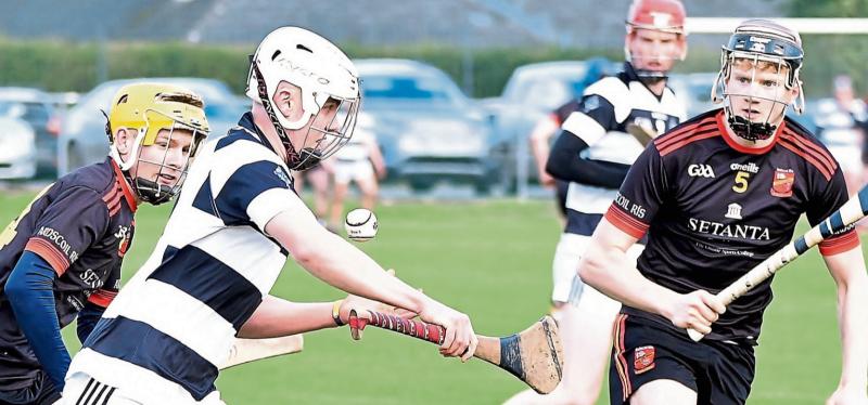 Dowling delight as College eye up back-to-back titles