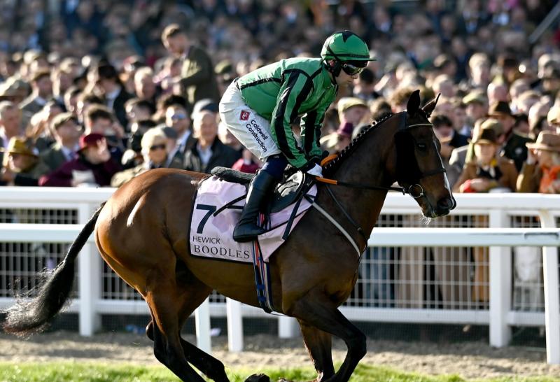 Fairytale story still alive for Shark and Hewick