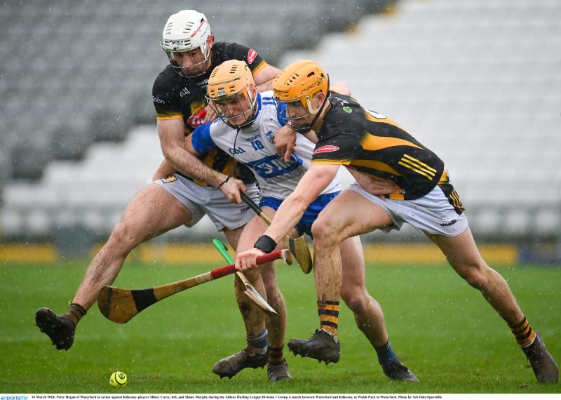 Kilkenny work hard to see off Waterford challenge