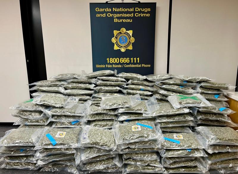 Cannabis worth €3.2m seized and man arrested 