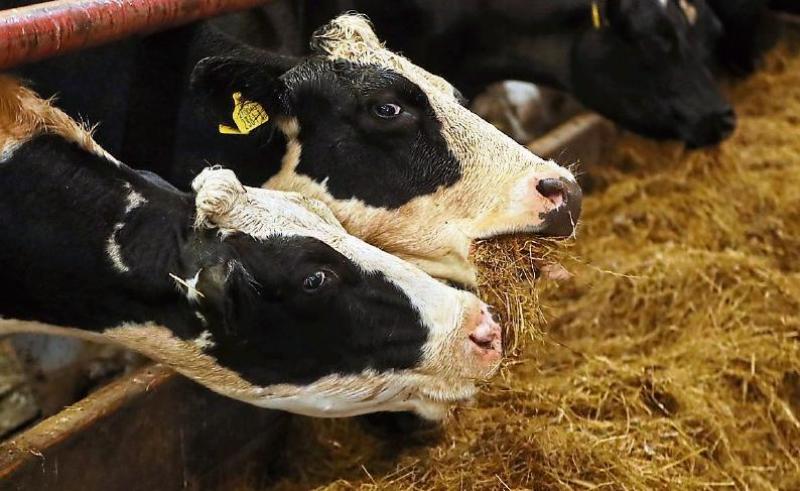 All non-essential farm inspections paused due to adverse weather conditions