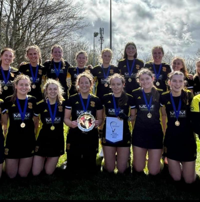 Kilkenny seconds see off Portrane to  win league and shield double