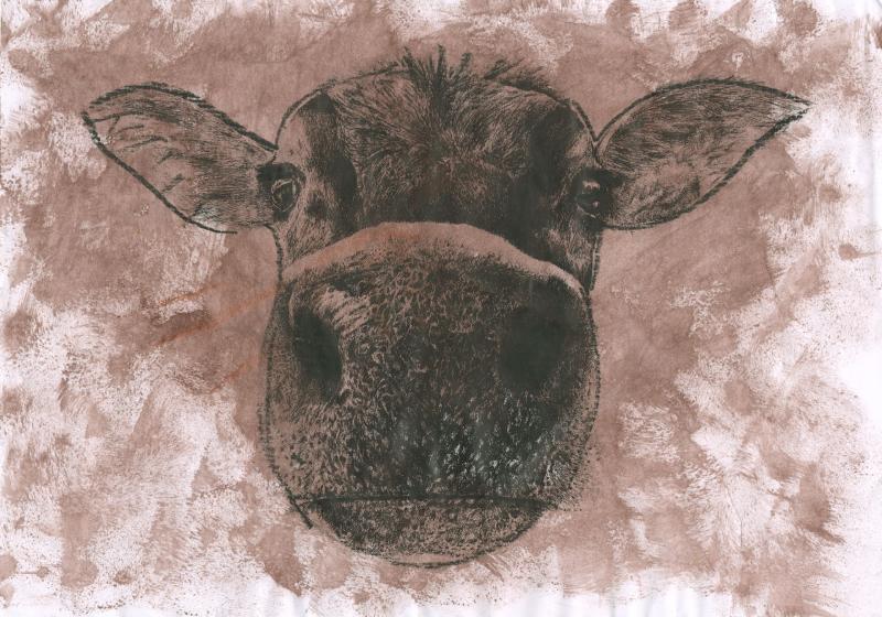 Young Kilkenny student wins prestigious art competition 