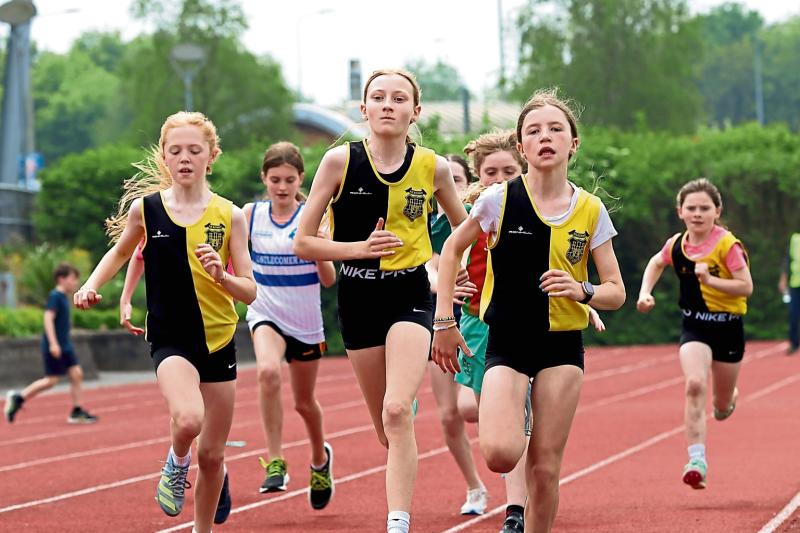 Harriers take pole position in juvenile and senior shields