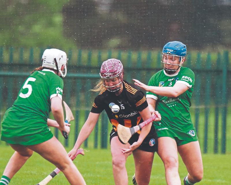 Kilkenny Seniors get off to a flying start in Limerick