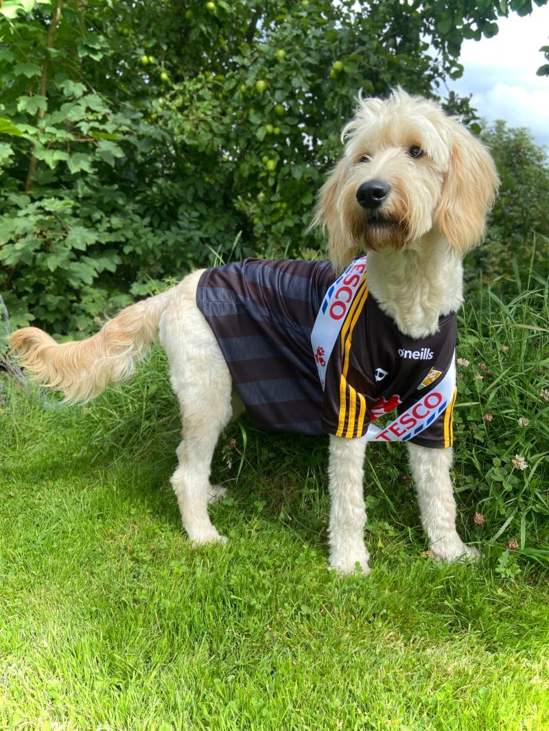 KILKENNY