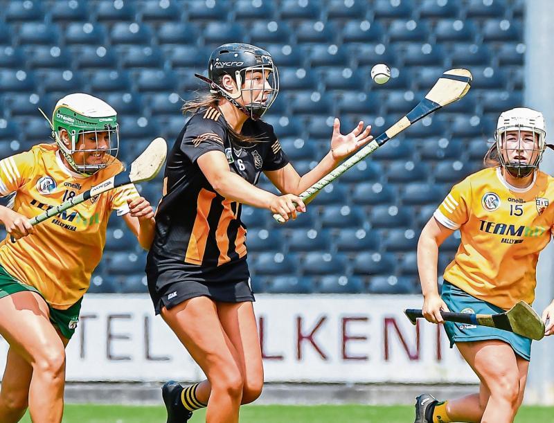 Kilkenny Intermediates put Saffrons to the sword