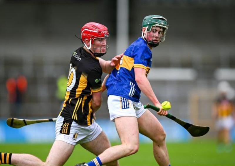 Mol An Óige - Criticism not the correct Cat medicine - Kilkenny Live