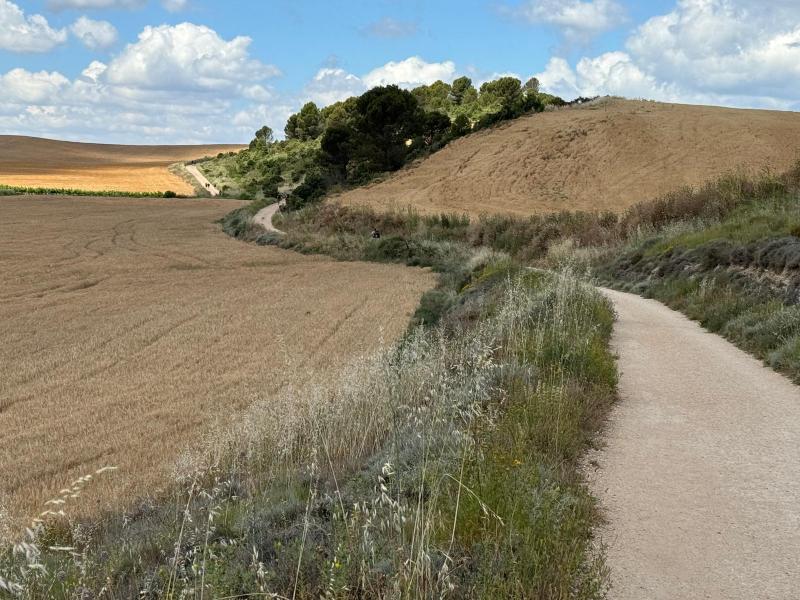 Opinion: The simple magic of the Camino in a world packed full of busyness 