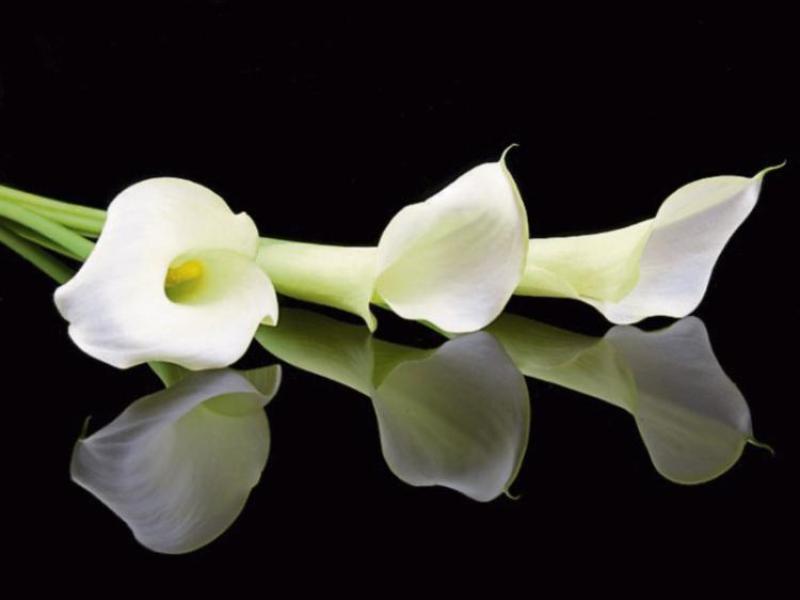 Respected Kilkenny businessman passes away 