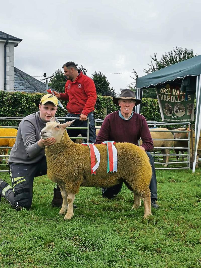 Ewe won't believe it! Kilkenny lads sweep sheep show with BAA-rilliant wins