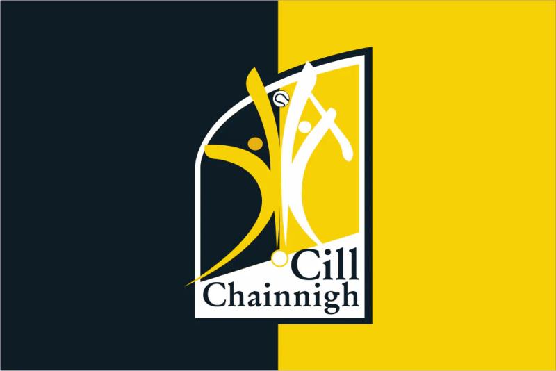 Decorated Kilkenny hurler to release much-anticipated book 