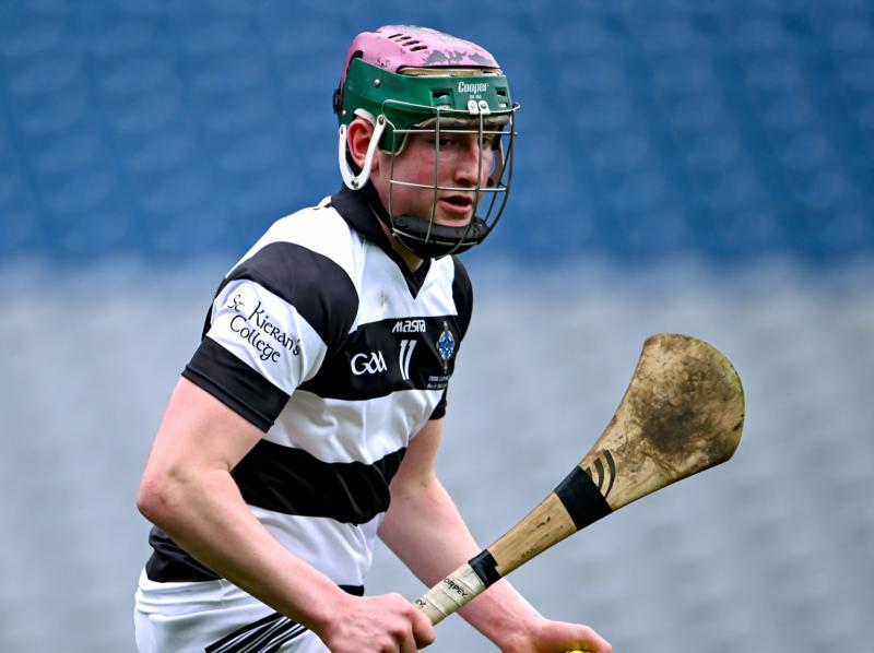 Kilkenny IHL- St Martin&rsquo;s youngsters to the fore in decisive success