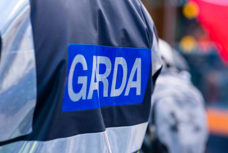 Gardaí make witness appeal after 'young boy' dies in car accident on bank holiday evening