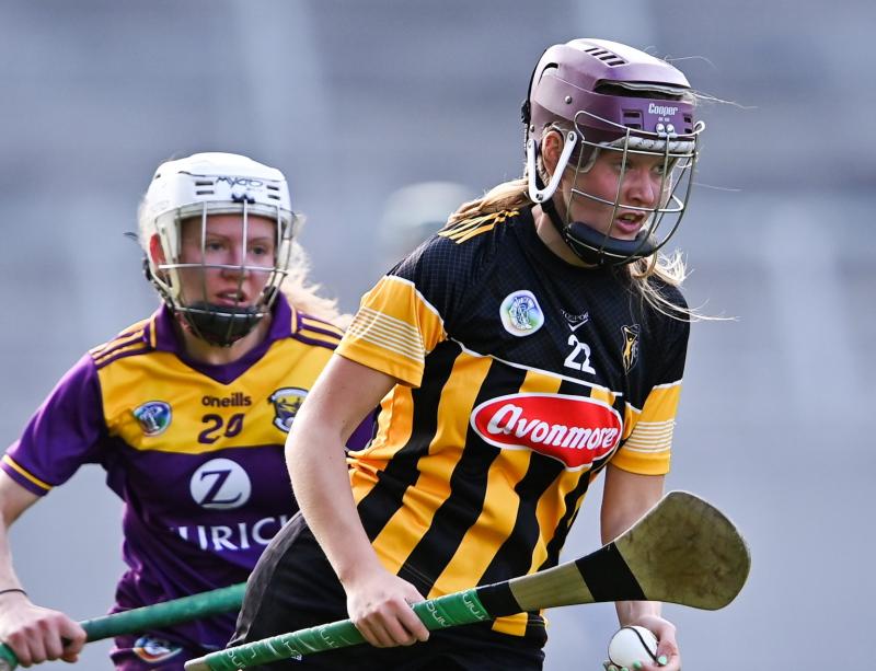 Kilkenny go public in search for new senior camogie boss