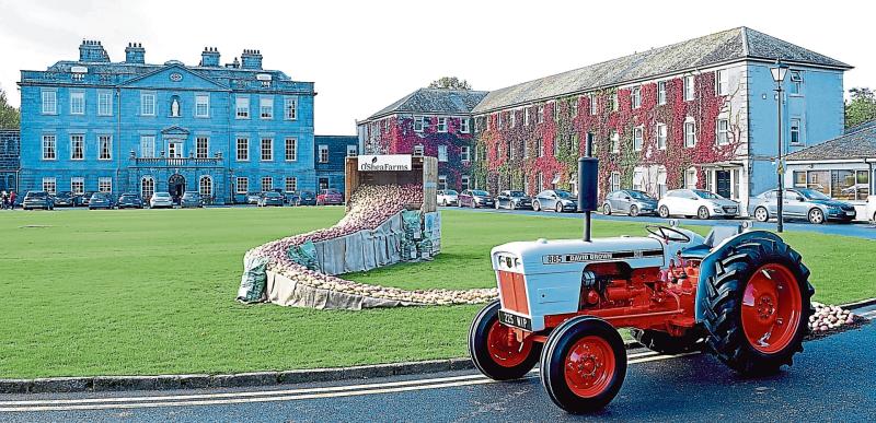 BREAKING: New veterinary college to be located across multiple campuses, including Kilkenny