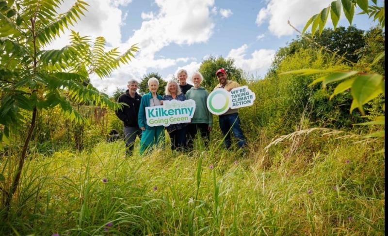 Eye-catching development installed in Co Kilkenny 