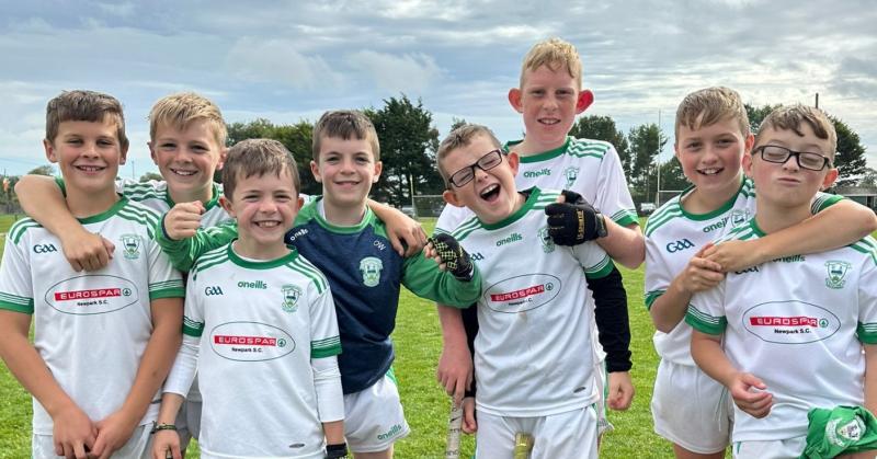 Band of Brothers - Four sets of brothers line-out for victorious Kilkenny GAA team 