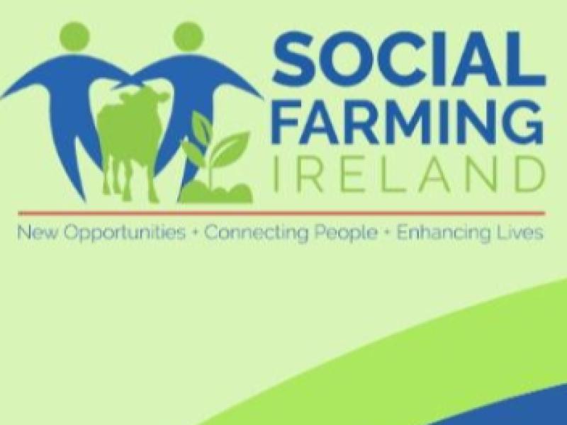 Social Farming open day at Kilkenny farm - all invited