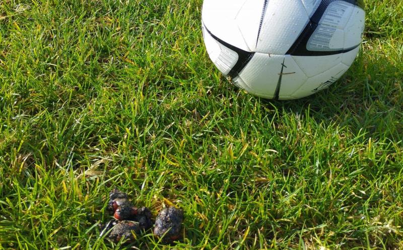 Kilkenny soccer club hits out after young player ends up 'with dog shite up his arm'