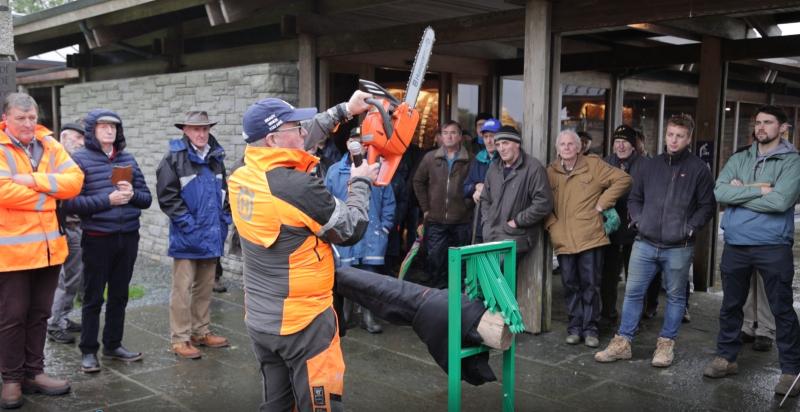 Celtic Chainsaw Carvers