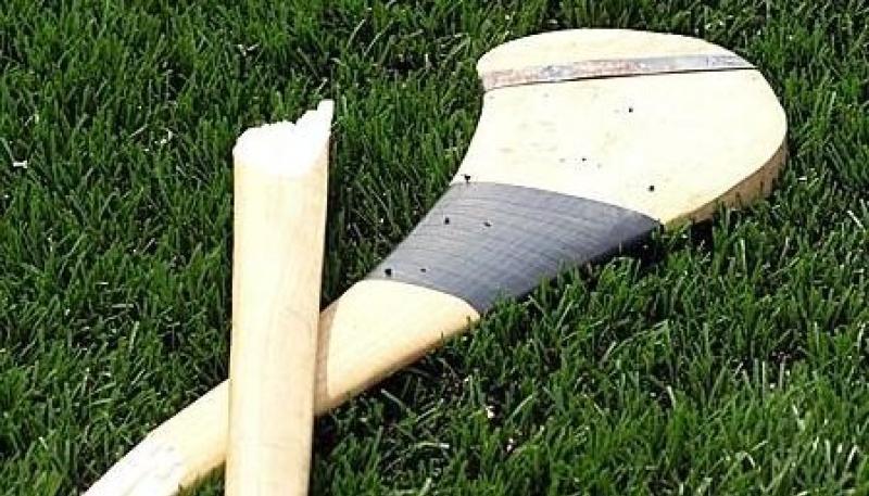 Kilkenny man appointed manager of senior inter-county hurling team 