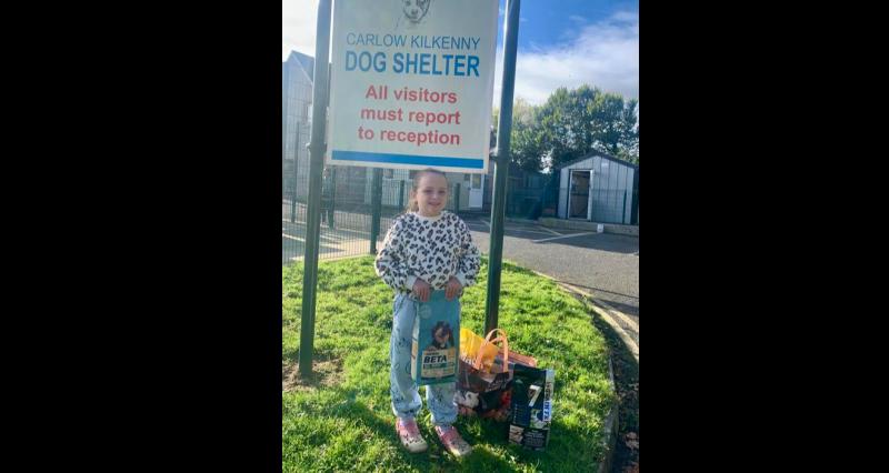 Young girl saves pocket and birthday money to make donation to dog shelter in Kilkenny