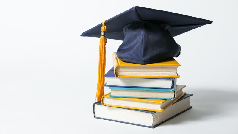 Delight for Kilkenny student who earns coveted scholarship 