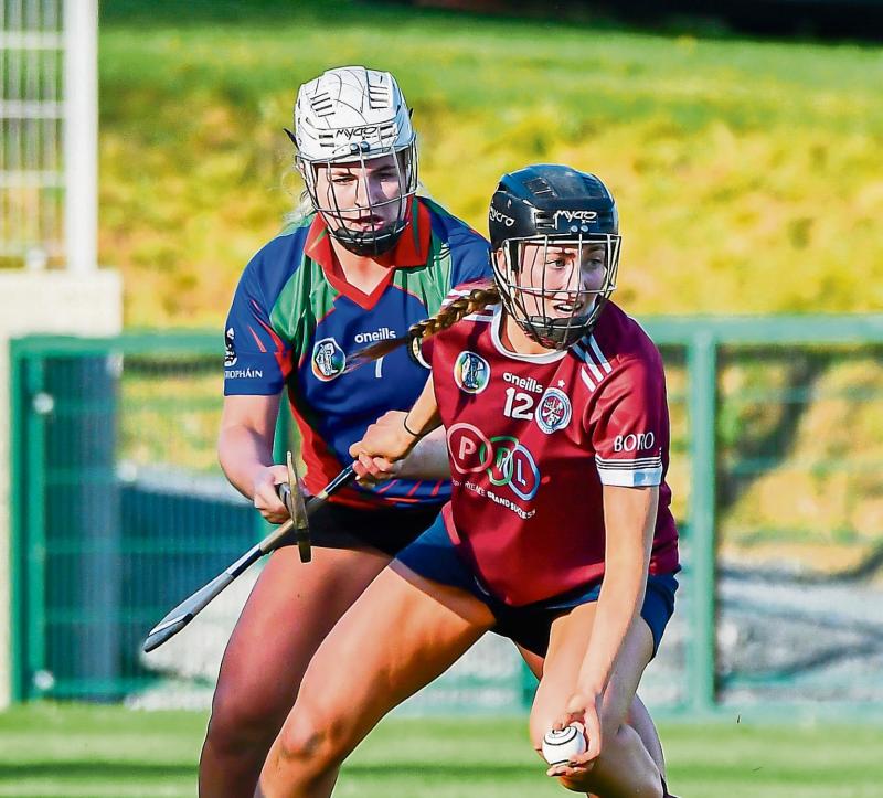 Dicksboro see off Village to reach senior camogie decider