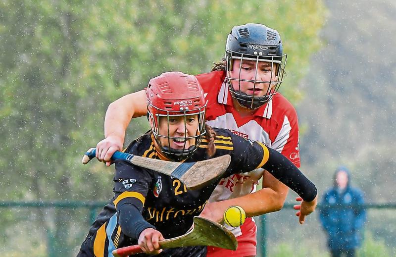 Ruthless Piltown hold all the aces against Young Irelands in senior camogie semi-final