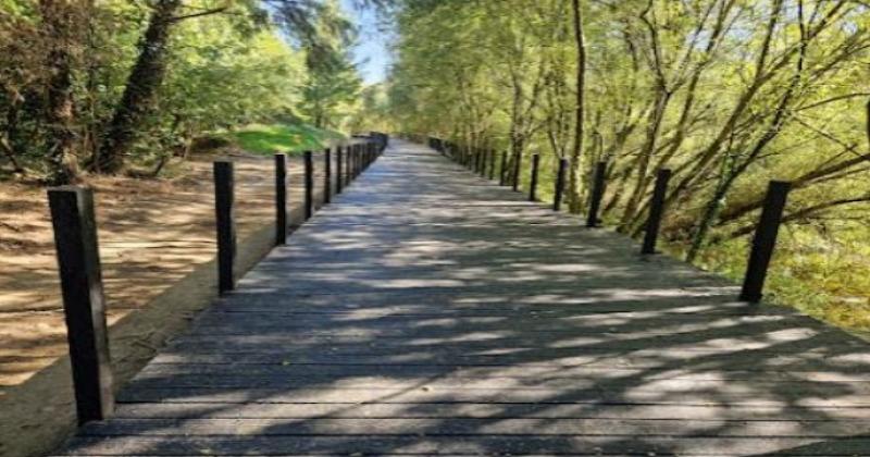 'Poor ground conditions' delays opening of new boardwalk in Kilkenny