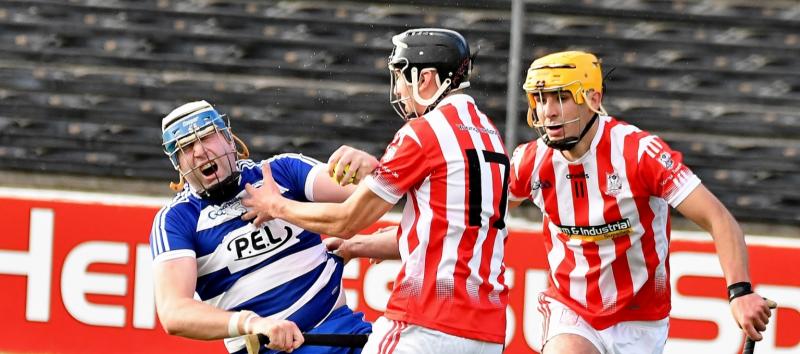 Lisdowney manager and players react to Intermediate Championship victory over Gowran