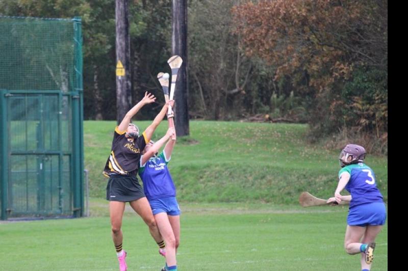 Piltown hold on to secure place in Leinster senior camogie decider