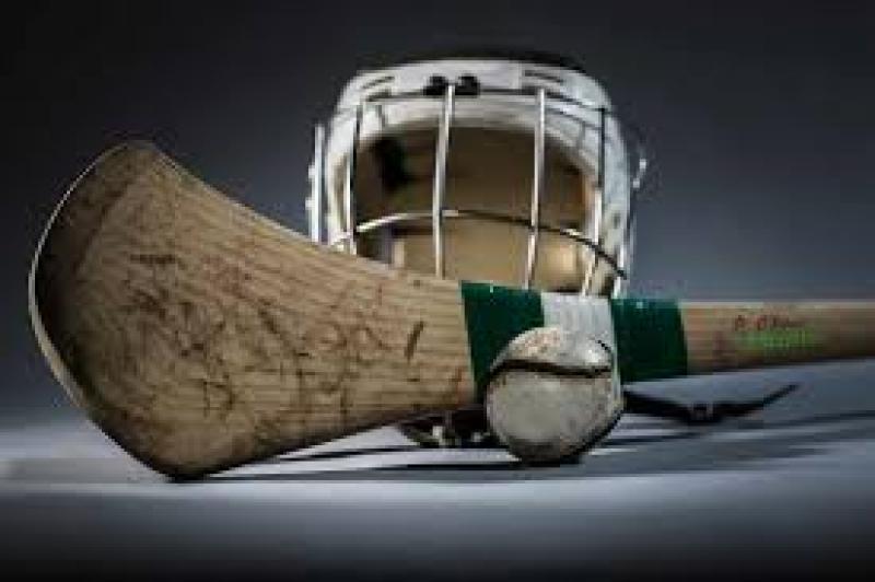 Meet this Kilkenny GAA figure who has become a familiar national face
