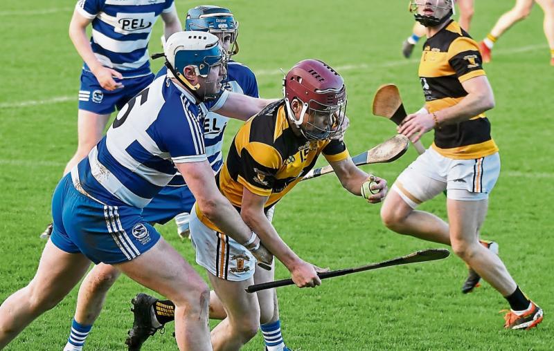 Lisdowney manager Trevor Fletcher reacts to Leinster Final defeat against Rathnure