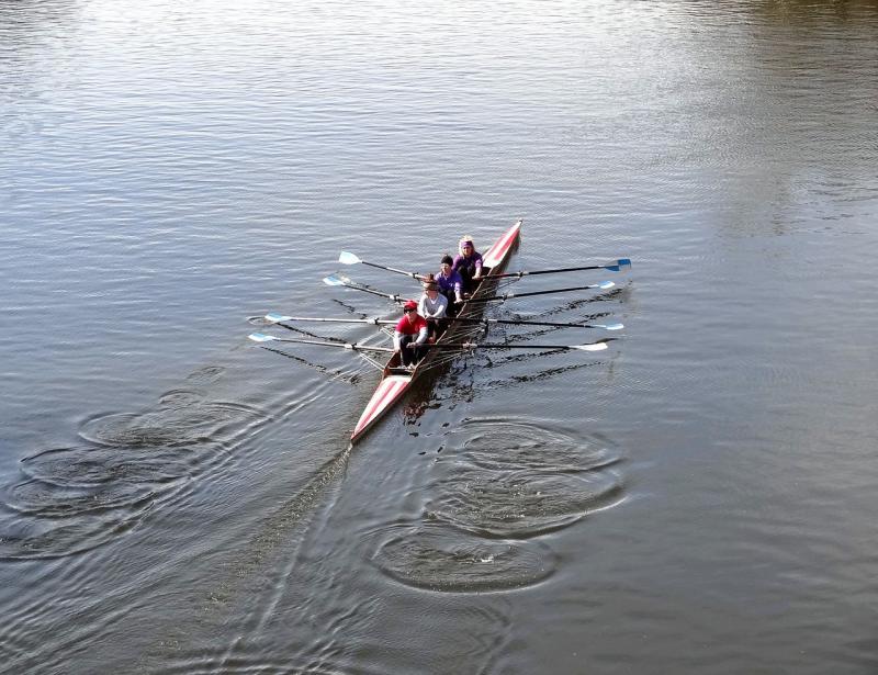 Kilkenny rowers compete in national rowing competition 