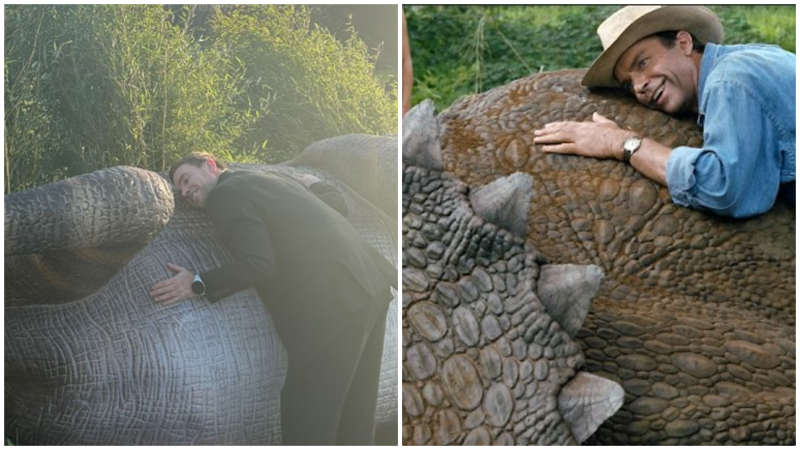 Jurrasic Newpark in Kilkenny sees the lighter side of Storm Darragh aftermath