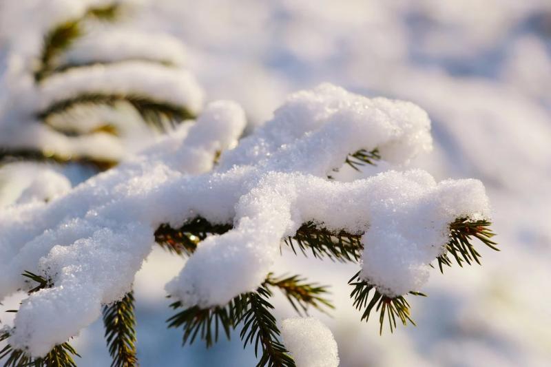 BREAKING: Kilkenny schools confirm closures 
