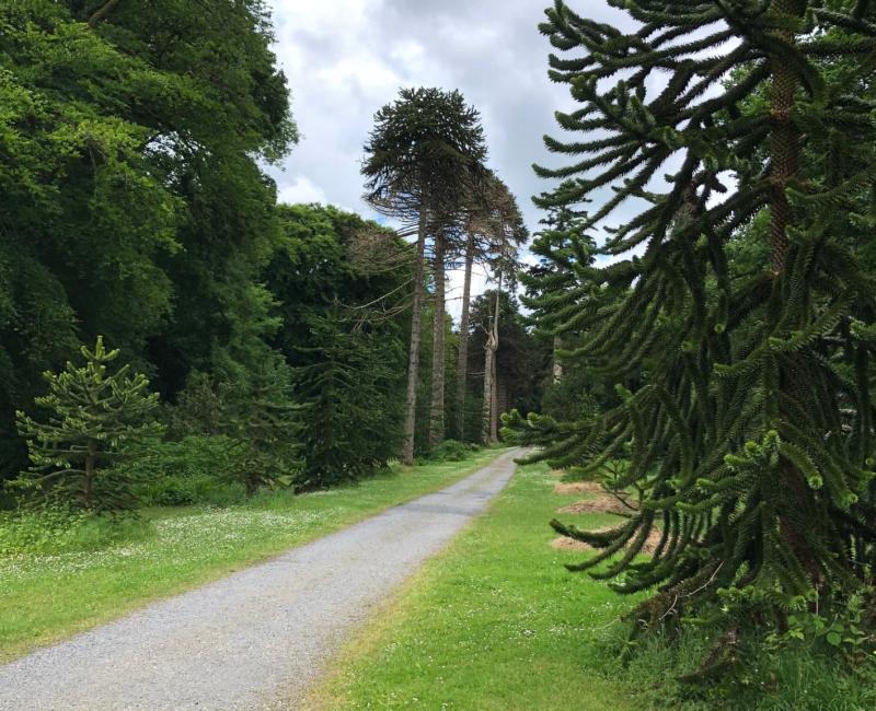 Exciting new Kilkenny project a 'gamechanger' according to local councillors 