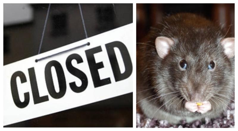 'Rat droppings and decomposed rat carcass' - Closure orders served on over 100 food businesses