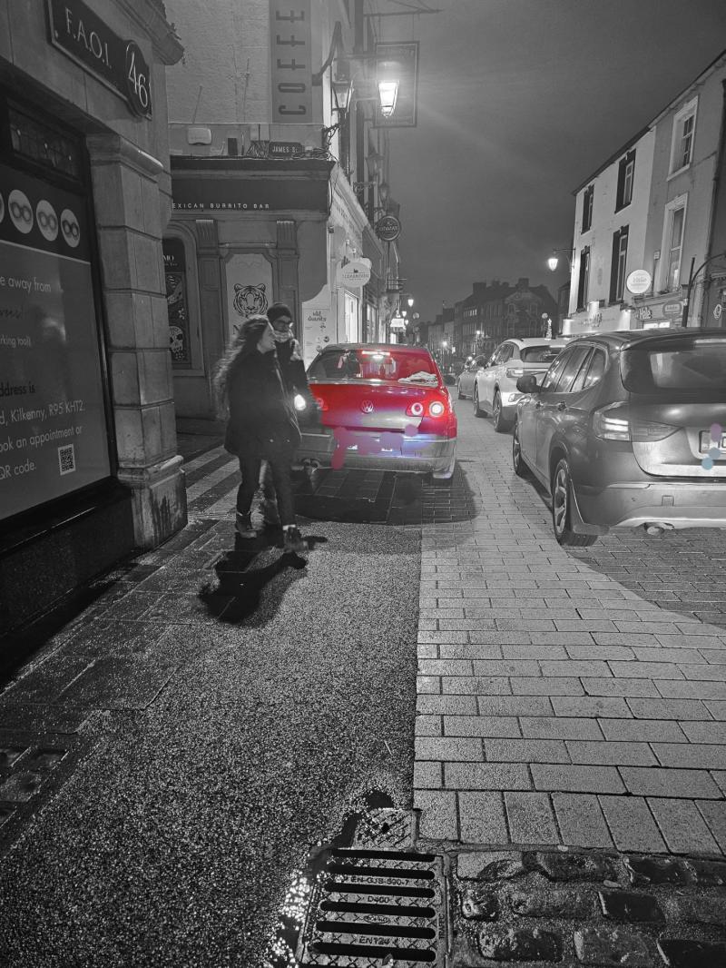 Kilkenny driver given severe penalty by garda&iacute; 