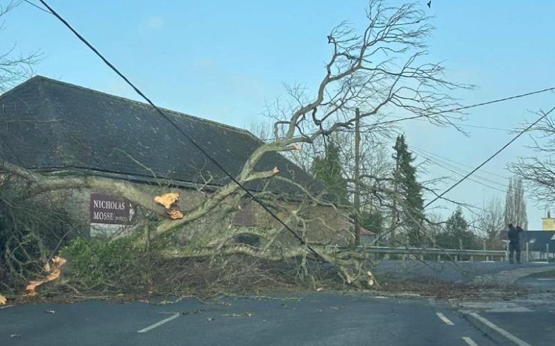 LATEST: Major incident as tree blocks main road in Kilkenny village after Storm Éowyn