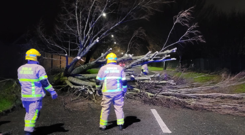 ALERT: Caution urged as large number of trees are knocked during record-breaking Storm &Eacute;owyn