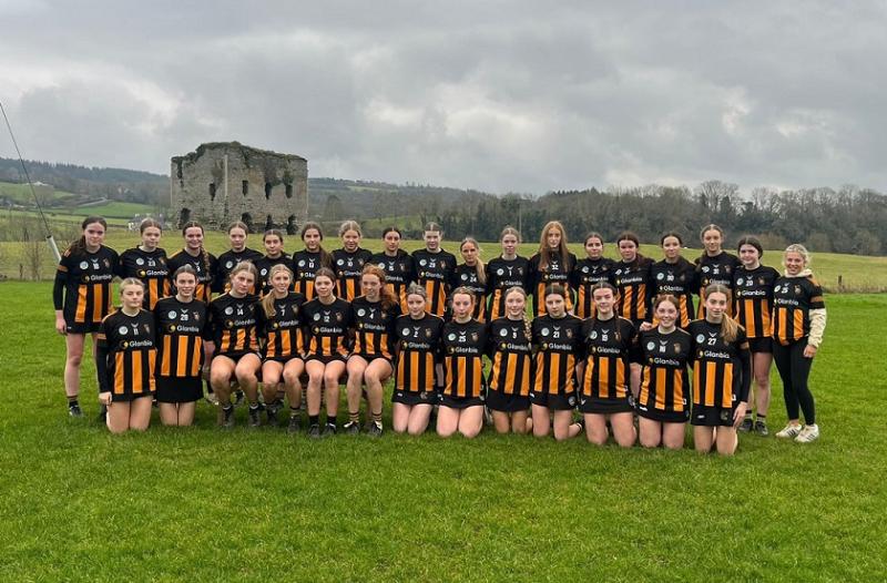 Kilkenny claim victory over Dublin in Under 16 B Camogie Championship